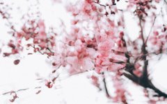 2020年农历三月份是什么星座？星座特点解析