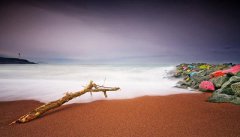 2020年农历三月二十四日出生的孩子是什么星座？