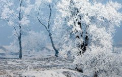 2020年农历二月二十五日子适合修坟吗,迁坟要注意什么？