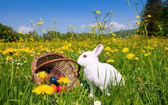 2020年农历三月三十是黄道吉日好日子吗?