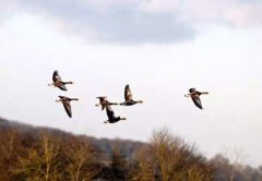 2020年农历二月适合祭祀的吉日好日子有哪些?