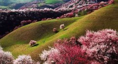 2020年农历二月十四是黄道吉日好日子吗?