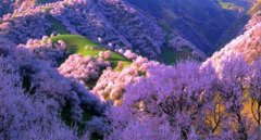 2020年农历二月初三适合祭祀祭祖吗？