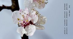 2020年农历二月二十一是黄道吉日好日子吗？