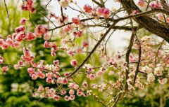 2020年农历二月初四适合祭祀祭祖吗？