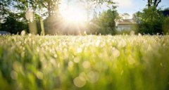 2020年农历二月二十七适合祭祀祭祖吗？