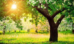 2020年农历二月二十是黄道吉日好日子吗？