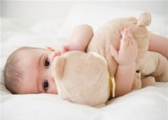 2020年农历二月廿九日可以求嗣吗？预产期什么时候？