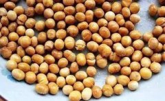 2020年二月二龙抬头不能吃什么，有哪些禁忌？