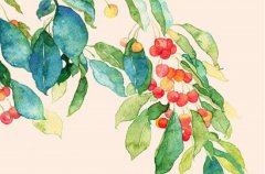 2020年农历二月的黄道吉日好日子都有哪些?