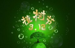 植树节的时候一定要种树吗 有什么说法