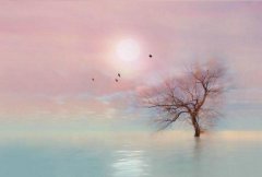 2020年农历二月十三日出生的宝宝是什么星座？