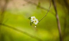 2020年农历二月二十四日出生的宝宝是什么星座？