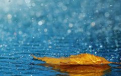 2020年农历二月十二今天日子是出行赴任的好日子吗？