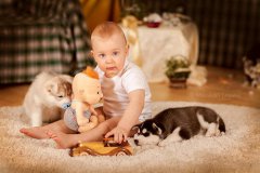 2020年植树节出生的宝宝有什么样的命运 命好吗