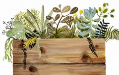 2020年农历二月初十日子好吗,今天日子适合装修动土吗？