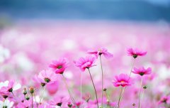 2020年农历二月初十黄历日子适合出行吗,出行要注意什么？