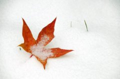 2020年农历二月初六可以迁坟吗,今天是修坟的黄道吉日吗？