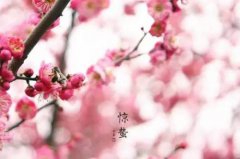 2020惊蛰节气怎么送祝福 惊蛰祝福语