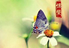 惊蛰三候代表什么寓意,惊蛰养生需要注意什么?