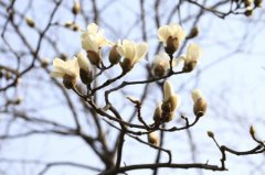 惊蛰节气会发哪些疾病 怎么预防