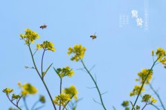 惊蛰雷鸣有什么说法?惊蛰打雷 2020惊蛰