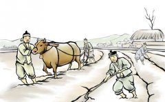 2020年惊蛰的时候怎么打小人 惊蛰习俗