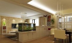 2020年鱼缸摆放在哪里较招财,鱼缸摆放有什么风水讲究？