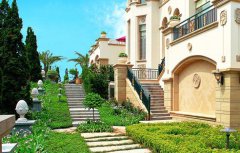 2020年己亥猪年农村庭院种植什么树较能招财旺运？