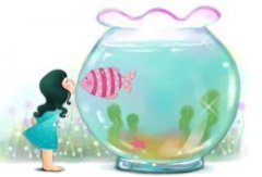 家中养风水鱼有什么讲究的地方吗？