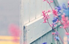 2020年正月较后一天正月三十日子适合祭祖祭祀吗？