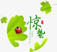 2020年农历正月三十惊蛰日子适合装修吗,2020年惊蛰是哪天？