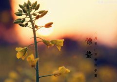 2020年3月6日惊蛰这天日子适合安床吗,惊蛰是什么意思？