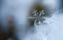 2020年农历一月正月三十是不是烧香祈福的黄道吉日？