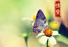 2020年3月6日惊蛰日子适合出行吗,惊蛰有何习俗？