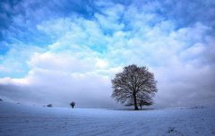 2020年农历正月三十惊蛰黄历的日子适合上坟祭祖吗?