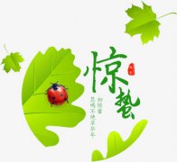 2020年3月6日惊蛰节气要注意什么,惊蛰不能做什么?