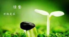 2020年农历正月三十惊蛰财神方位吉位在哪里?