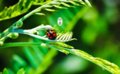 惊蛰节气有什么禁忌宜忌事项,2020年惊蛰是哪一天？