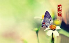 2020己亥年惊蛰节气出生的男孩好不好？