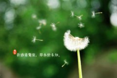 2020年正月三十惊蛰时辰吉凶查询,惊蛰有什么讲究？