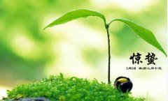 2020惊蛰节气如何除小人 如何养生开运