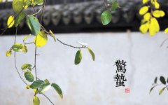 2020惊蛰养生有什么原则 惊蛰养生原则