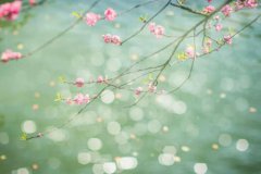 2020惊蛰节气怎么招桃花 怎么招贵人