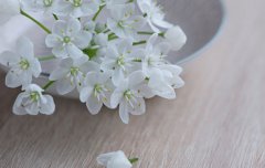 2020年农历正月二十二的日子可以祭祖吗,祭祖有何讲究？