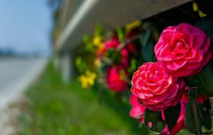 2020年农历正月二十三是安床的好日子吗,今天安床好吗？