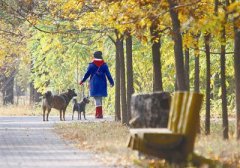 在2020农历一月十五日这一天出行好吗 吉凶如何