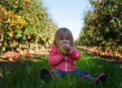 2020年正月十九出生的女孩命好吗？正月十九出生的名人