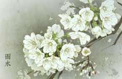 2020年雨水节气喜神方位查询，雨水节气的古诗欣赏