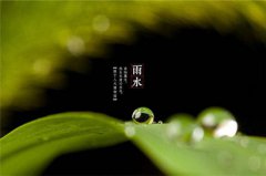 关于雨水节气的诗词有哪些，雨水节气三候